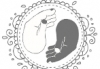 Thumbnail picture for Natural Harmony Therapies