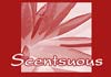 Thumbnail picture for Scentsuous Therapies
