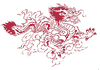 Thumbnail picture for The Dragon Acupuncture Project