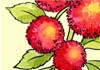 Thumbnail picture for Strawberry Tree Holistics