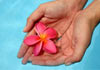 Thumbnail picture for Bellenden Therapies