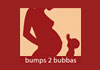 Thumbnail picture for Bumps 2 Bubbas