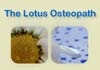 Thumbnail picture for The Lotus Osteopath