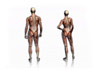 Thumbnail picture for Norwich Osteopathic Clinic