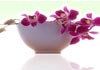 Thumbnail picture for Chiltern Natural Therapies