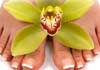 Thumbnail picture for Revival Reflexology