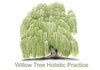 Thumbnail picture for Willow Tree Holistics