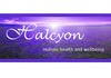 Thumbnail picture for Halcyon