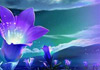 Thumbnail picture for Julie Elizabeth White